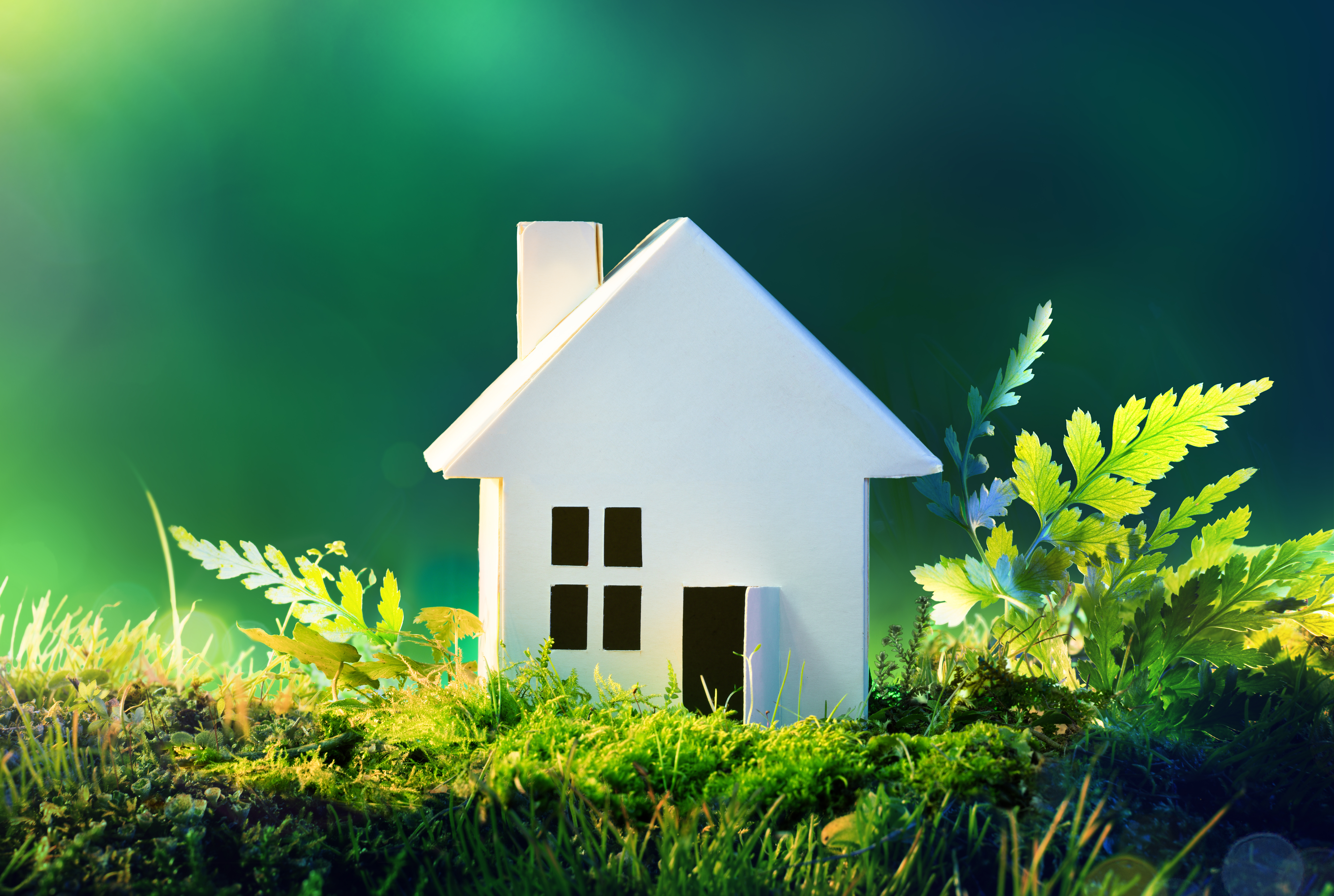 80% Loan to Value Green Buy to Let Mortgages